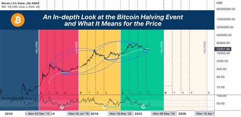 Bitcoin halving chart
