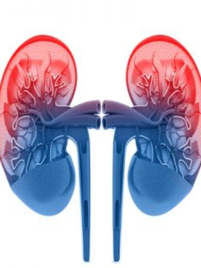 Kidneys Function के लिए 7 ऐसे सुपर फूड्स जिससे गुर्दे काम करें बढ़िया
