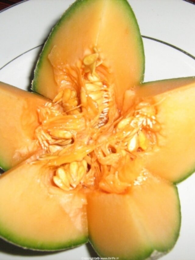 Musk Melon यानि खरबूजा की अद्भुत न्यूटरिशन और स्वास्थ्य लाभ