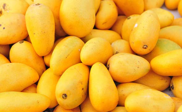 Types of Mangoes in India